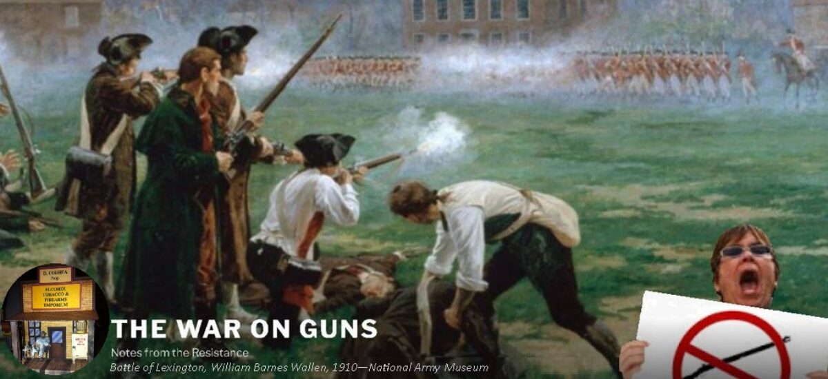 The War on Guns