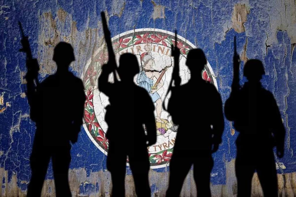 553818 militia challenge virginia assault weapon ban hero 1200x800