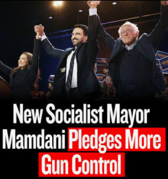 Mamdanigun