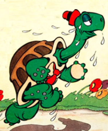 Tortoise