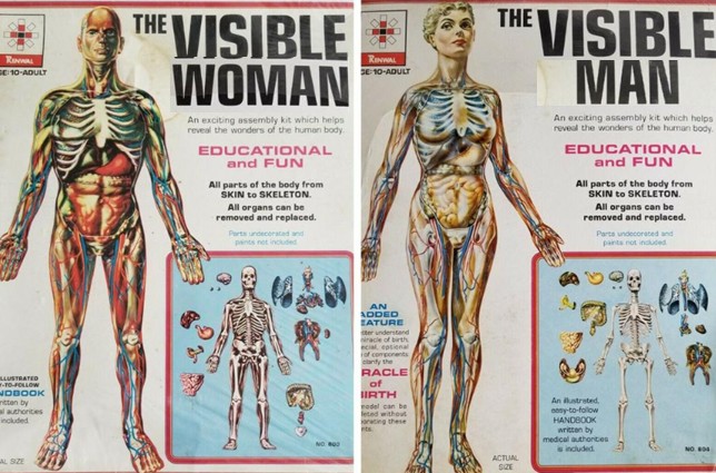 Visible
